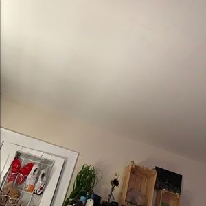 Meet your Posher, Bryanna